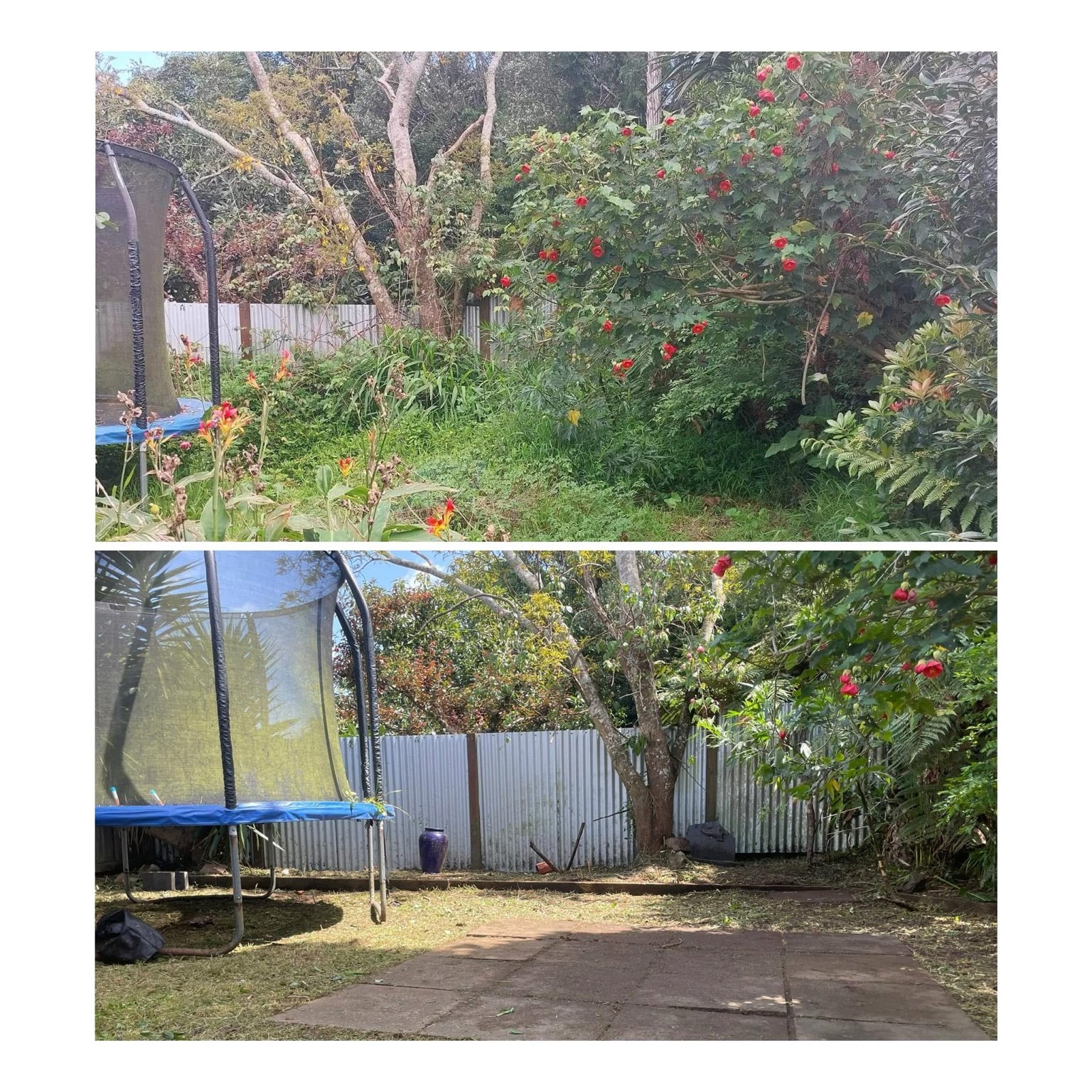 Garden tidy-up — before and after