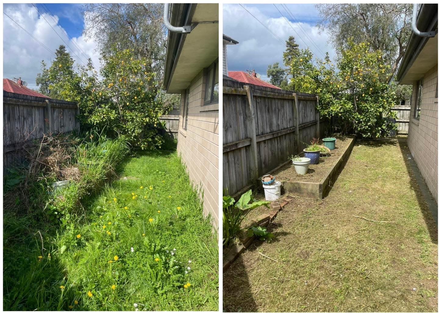 Garden and lawn tidy-up — before and after