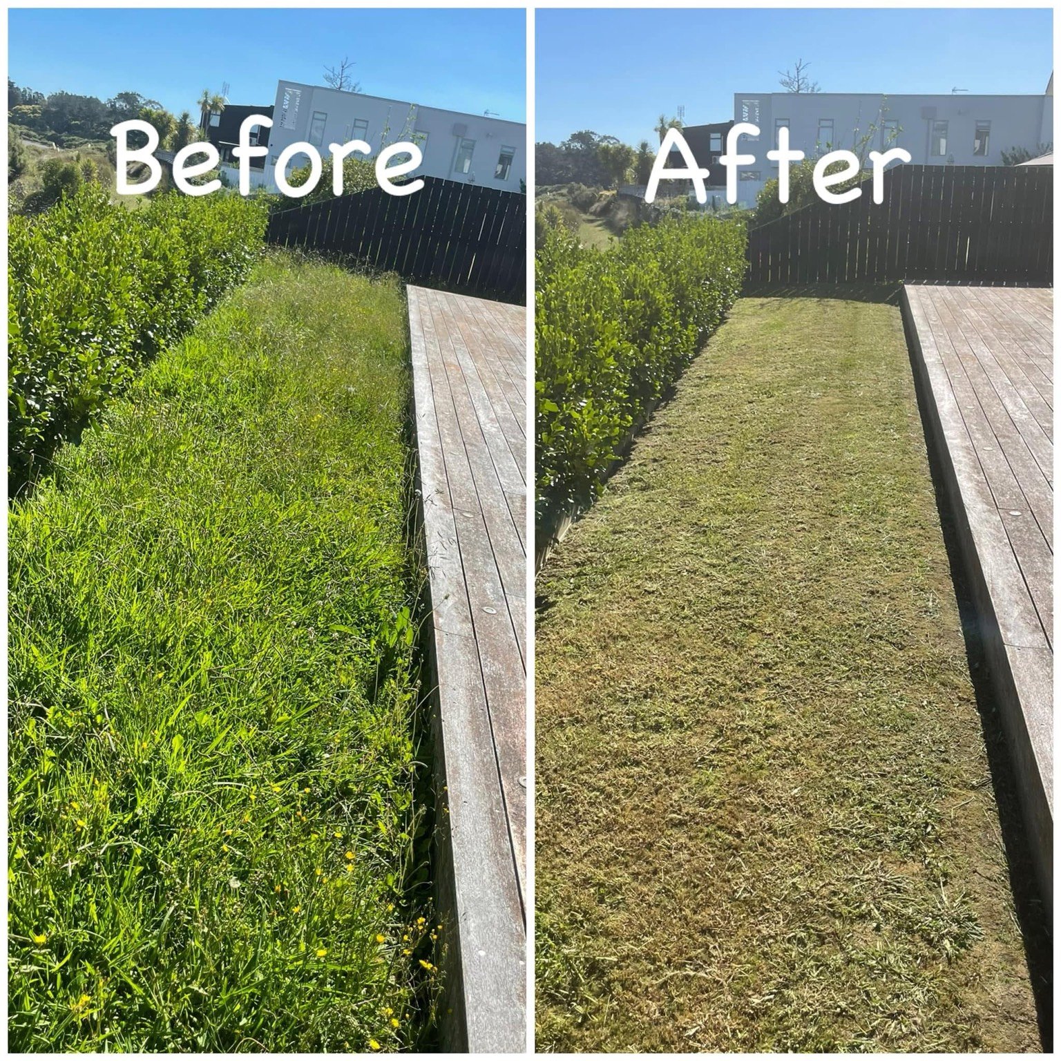 Lawn mowing — before and after