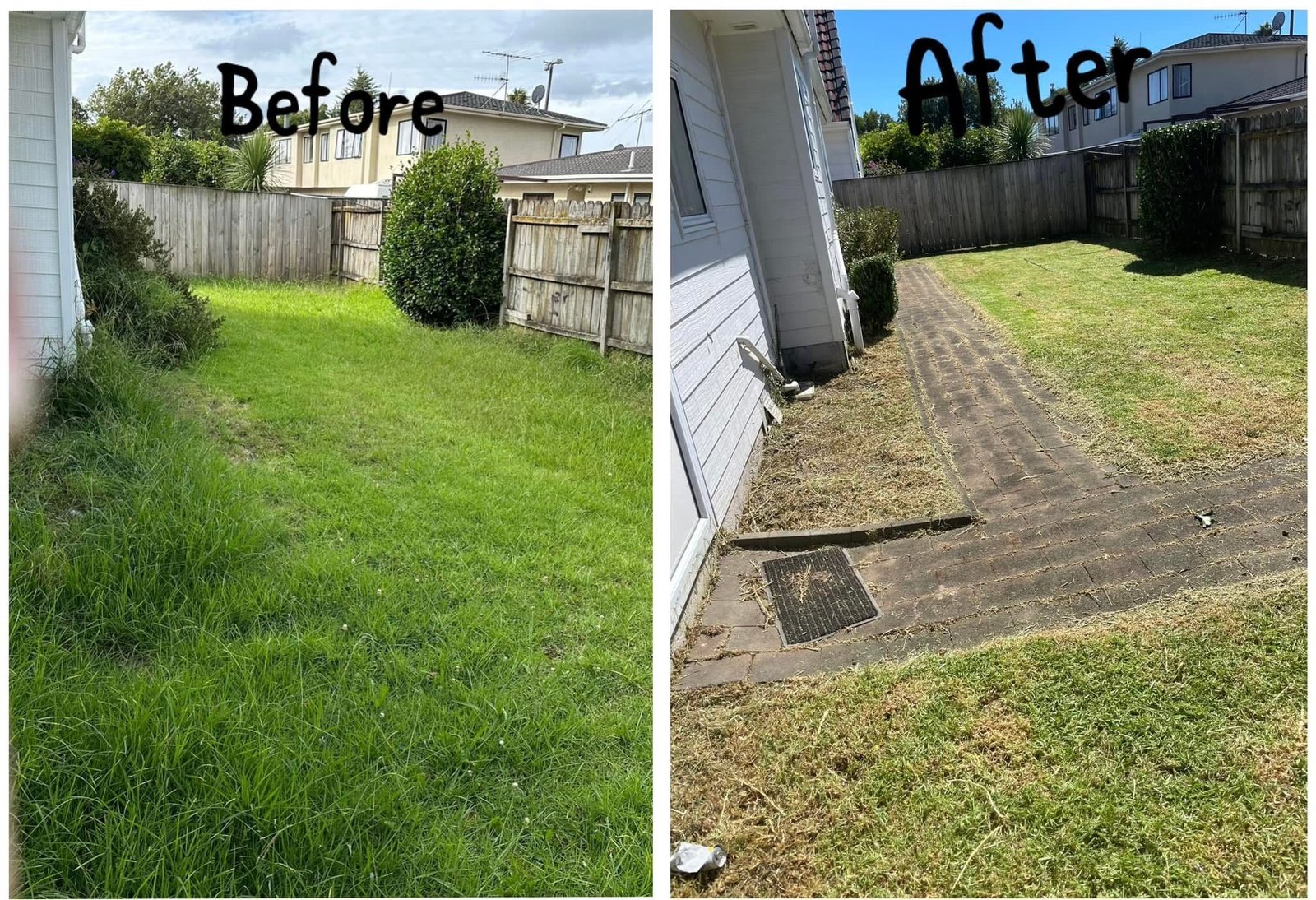 Backyard lawn tidy-up — before and after